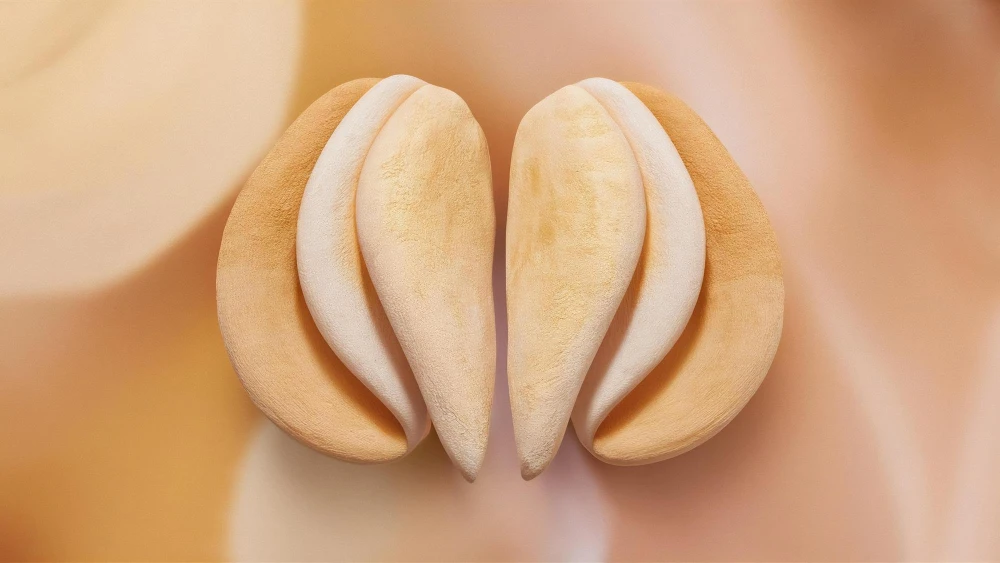 image de contexte pour une labioplastie