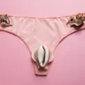 représentation de petites lèvres