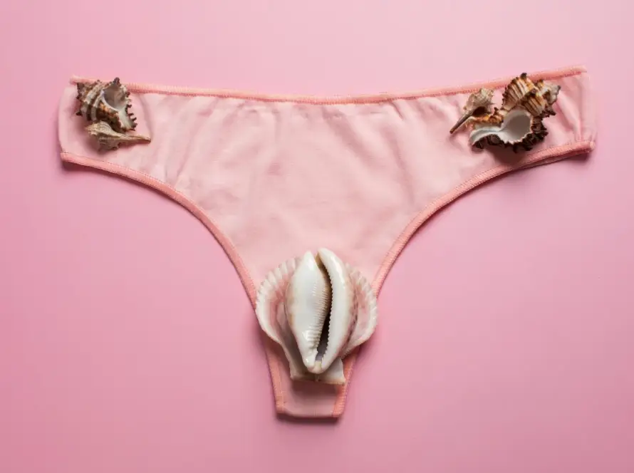 représentation de petites lèvres